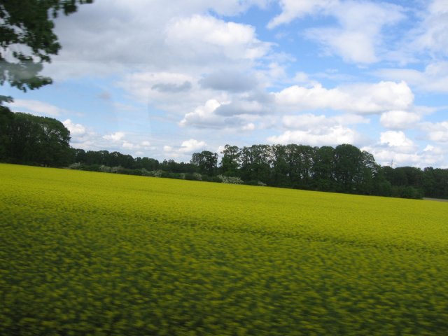 Excursie Xanten 12 mei 2012